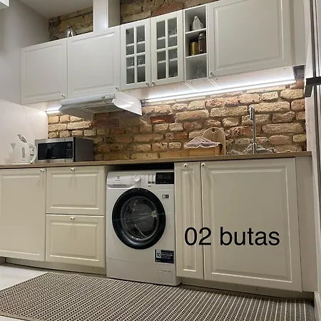 Six Simona 公寓 维尔纽斯