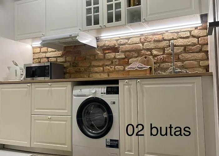 Six Simona 公寓 维尔纽斯