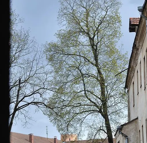 Six Simona Appartamento